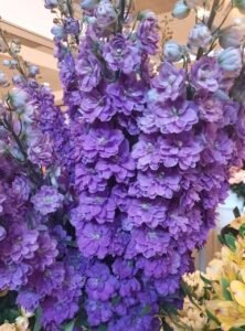 img 20250704 wa0025