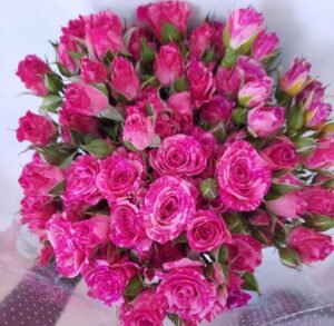img 20250704 wa0029