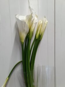 img 20250705 wa0018
