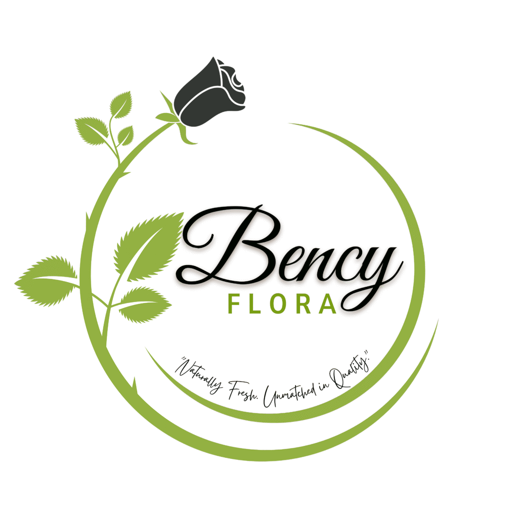 bencyflora logo