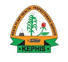 Blog proxy image (9)