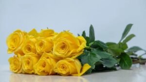bency flora-roses