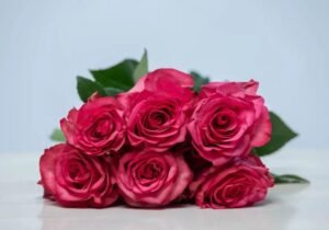 bency flora-roses