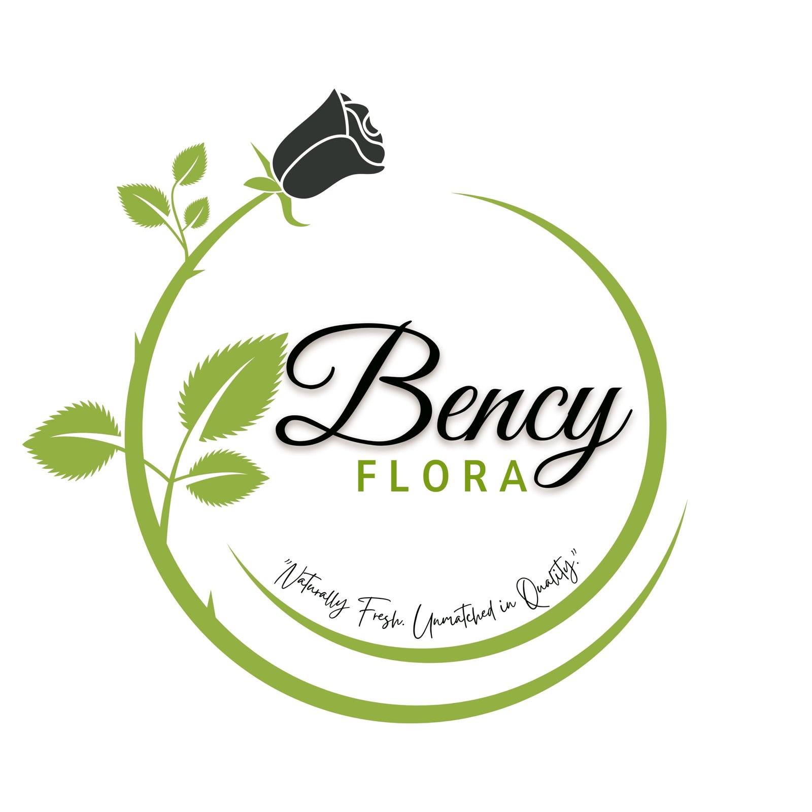 bencyflora logo 5
