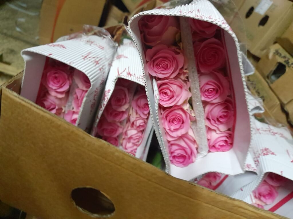 Export Services whatsapp image 2023 07 21 at 12.03.55 (1)
