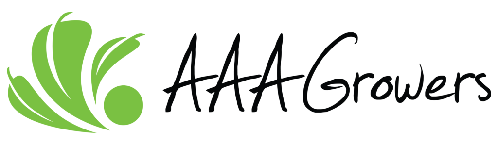 logo (1)